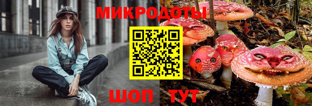 Галлюциногенные грибы GOLDEN TEACHER Приморско-Ахтарск